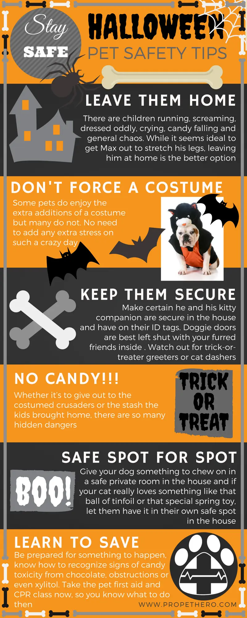 search image 2 6 Common Halloween Hazards Every Dog Owner Should Know | Keep Your Pup Safe 2