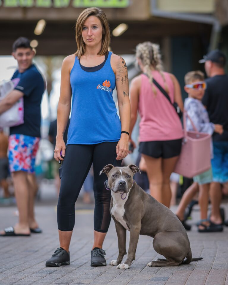 Allie — Off Leash K9 Training of Santa Rosa Beach