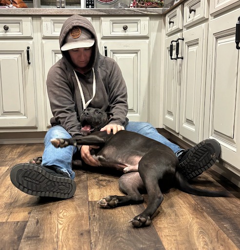 Pit_Bull_Board_and_Train_30A