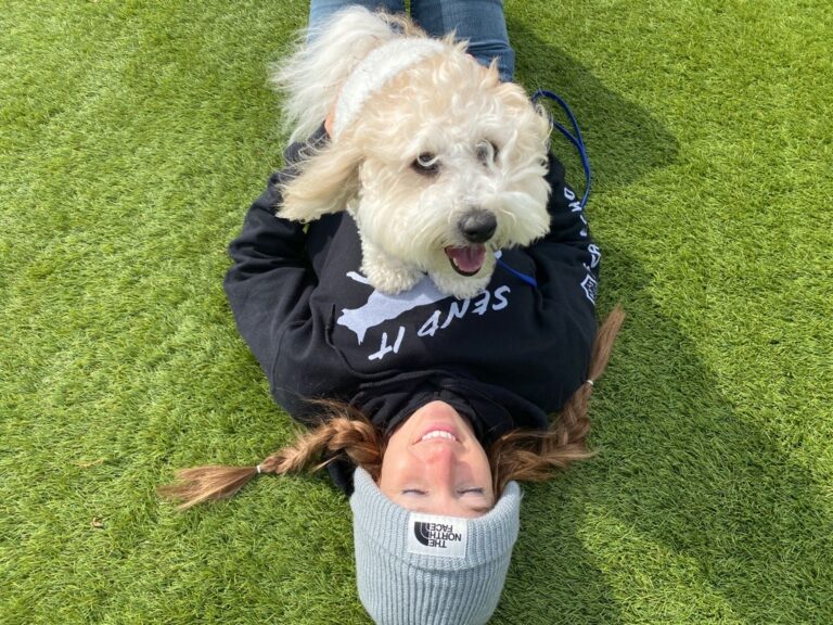 Dog training progress with owner and fluffy dog practicing bonding outdoors