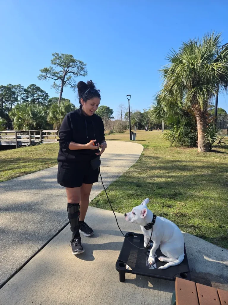 Rosie improved behavior, communication, and owner confidence through supportive dog training with Jen in Santa Rosa, FL.